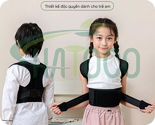 Đai lưng thảo dược Hatoco