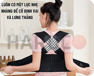 Đai lưng thảo dược Hatoco