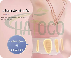 Đai lưng thảo dược Hatoco
